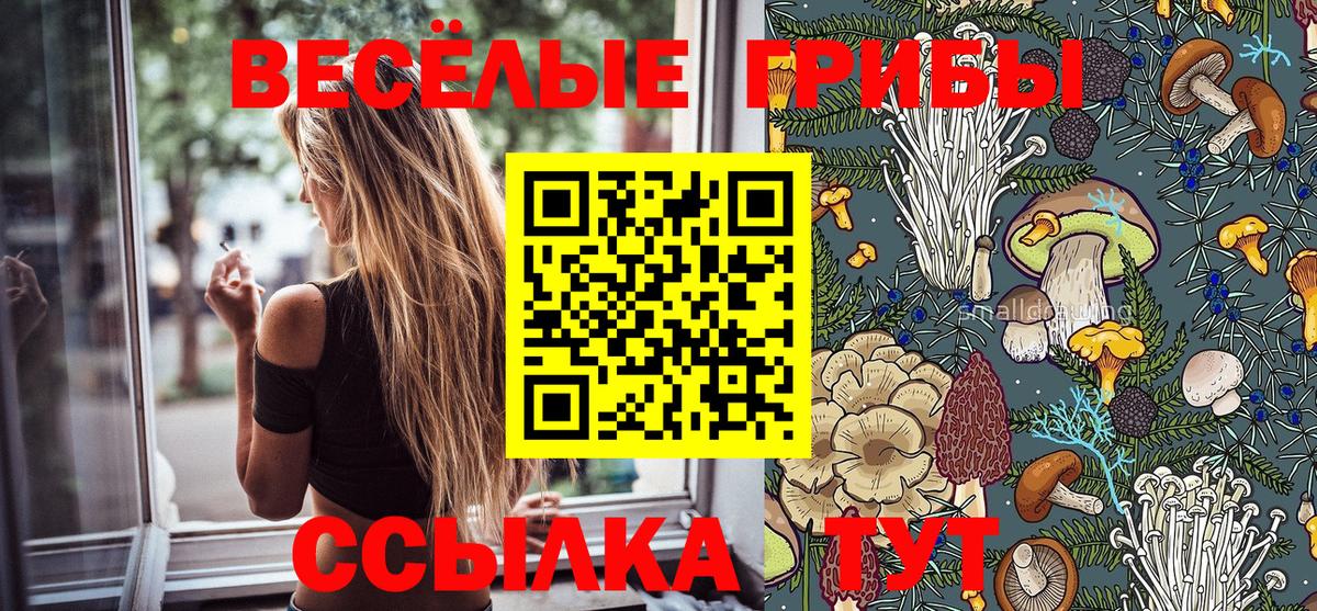 Дзержинск  Галлюциногенные грибы Magic Shrooms  Псилоцибиновые грибы Magic Shrooms  Вход с VPN 