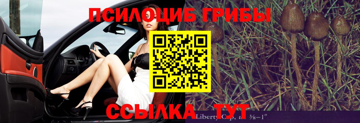 Галлюциногенные грибы Psilocybe Дзержинск